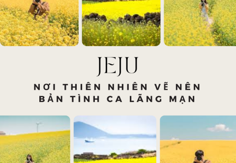 Jeju mùa xuân 2025: Nơi thiên nhiên vẽ nên bản tình ca lãng mạn